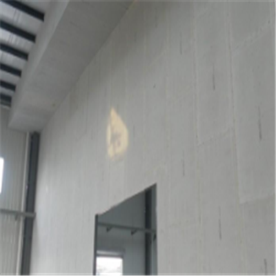 尖山宁波ALC板|EPS加气板隔墙与混凝土整浇联接的实验研讨